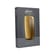 Ploom X Advanced front panel mango sorbet packaging