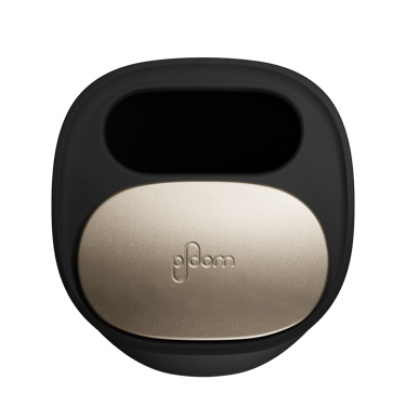 Ploom Large Stick Tray top view